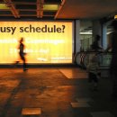 웰빙365다이어트 이미지