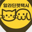가자 펫택시 네이버블로그