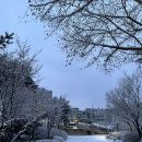 연태목장 | 2026年 02月