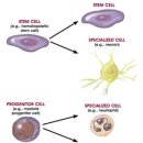 포레성형외과의원 이미지