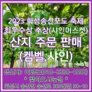 벧엘농원 이미지