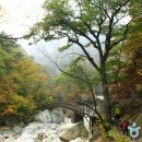 오색산새소리캠핑장 이미지