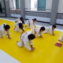 사랑가득 효 태권도 이미지