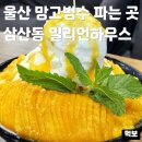 망고하우스 - 관악구 양녕로2가길 45 | 울산 망고빙수 맛집 밀리언하우스 삼산 대형카페 내돈내산 후기