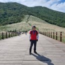 영 농장 이미지