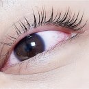 아미시장 | 매력적인 눈매 변신! 면목동속눈썹 아미브로우 방문기?💁‍♀♀️