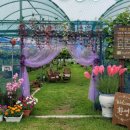 아우라 농장 이미지