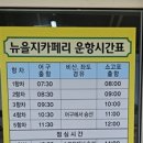 좌도 Daum카페