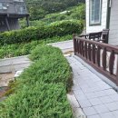 푸조와곰솔 | 반려견과 함께한 힐링 여행, 거제도펜션 ‘푸조와곰솔’ 이용 후기