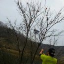 붕어의 신 이미지