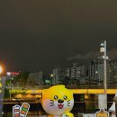 칠성약국 | 대구가볼만한곳으로 추천하는 칠성야시장
