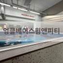 엉클베어스윔앤피티 이미지