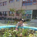 은혜당구장 이미지