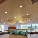 해솔주간보호센터 이미지