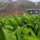 별산농장 네이버블로그