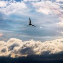 신나는머리나라 이미지