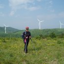 진고개로 이미지