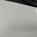 디테일링 라인 이미지