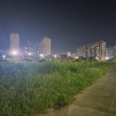 Running 08 이미지