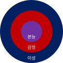 동심원 브런치
