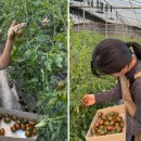 채은농장 이미지