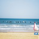 만리포니아 이미지