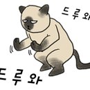 슈즈카페 이미지