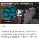 [단독] 고양이 38마리 집단 폐사…&#39;조류 인플루엔자&#39; 원인 이미지