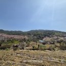 강원남원주개발공인중개사사무소 | [급매] 원주 흥업면 대안리 전원주택부지 447평 3억 원, 남원주IC 15분 토지매매