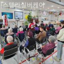 실버스텔라