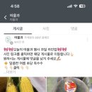 따올과