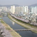 온천천관리사무소 이미지