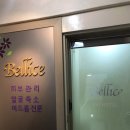 스킨벨리체