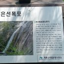 은선 Daum카페