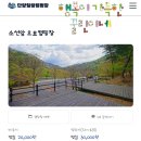 지에스(GS)25 단양소선암점 | 단양 소선암 캠핑장 다녀왔어요