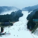 둔내호텔 | 국내 스키장 숙소 웰리힐리파크 리조트 예약 할인 이용 후기