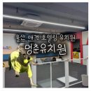 내황유치원 차량1 | 울산 남창 덕신 멍춘유치원 애견호텔링 24시간상주 옥상 정원 완비