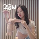 (주)티키타카스튜디오 | 임신일기25.28주차 배크기∙임당식단∙수치인 식단∙결혼식 하객∙에그Q 절충형+에그스카이2 휴대형 유모차...