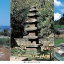 순천-44호 이미지