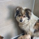 테크노중앙대로 이미지