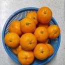 남원읍-17 이미지