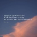 하나님 뜻을 아는 것보다 중요한 것 이미지
