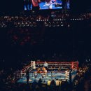 쿠바복싱 이미지