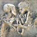 석기사랑 이미지