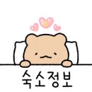 늘푸름 호스텔 이미지