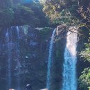 호도귤정원 이미지