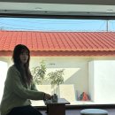 안채 | 제주 도록도록 안채 내돈내산 이용후기 | 구좌읍 종달리 감성숙소추천 | 제주도 독채스테이 추천