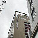 맹그로브 신설 | 맹그로브 신설 싱글룸 평일 체크인 후기 가성비 서울 숙소