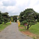 네버랜드테마펜션 | 제주 실내관광지 시간 가는 줄 모르는 브릭캠퍼스