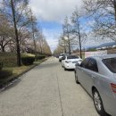 낙동강하천공원주차장 이미지